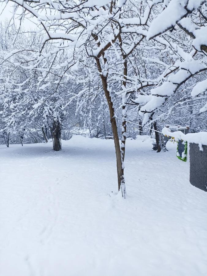 Woodland Paradise 가발라 외부 사진