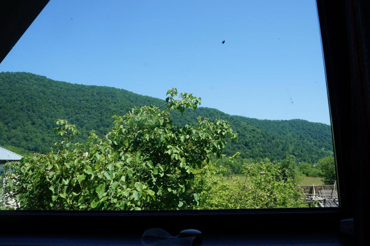 Woodland Paradise 가발라 외부 사진