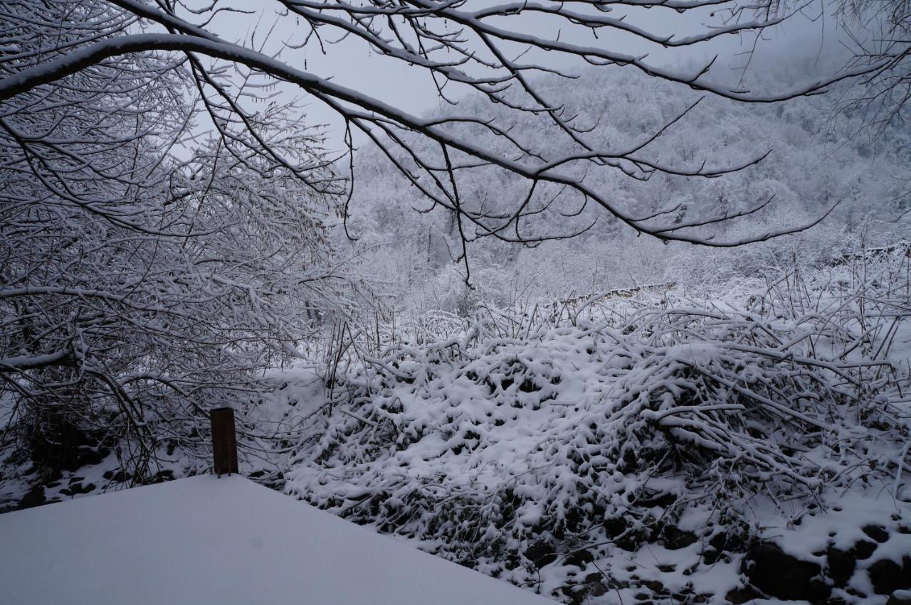 Woodland Paradise 가발라 외부 사진