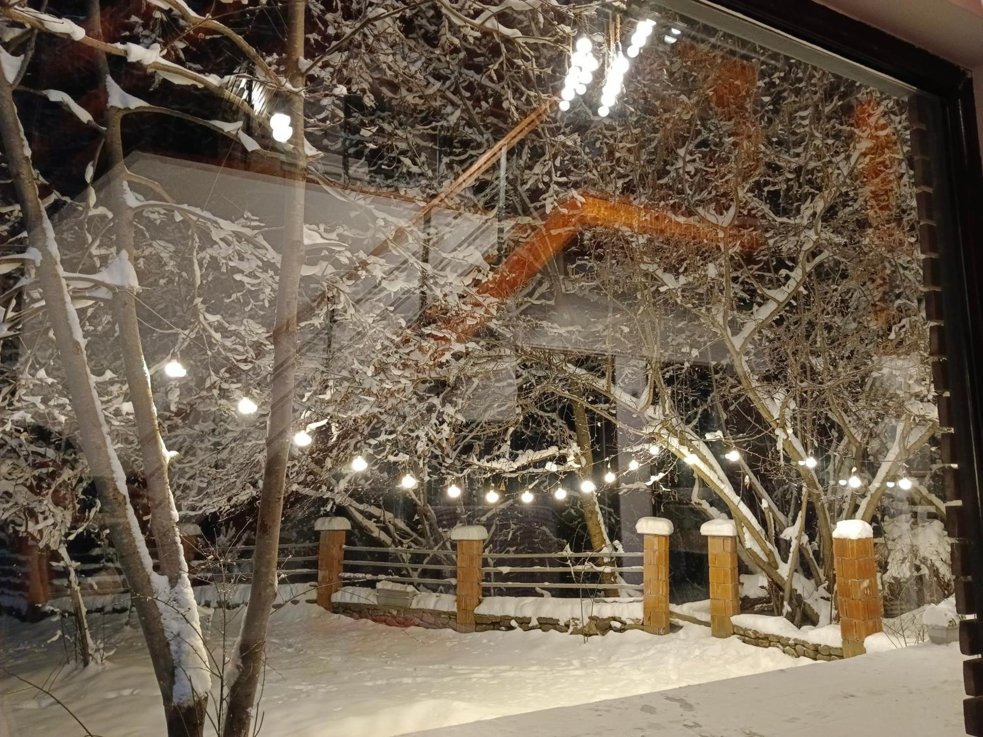 Woodland Paradise 가발라 외부 사진
