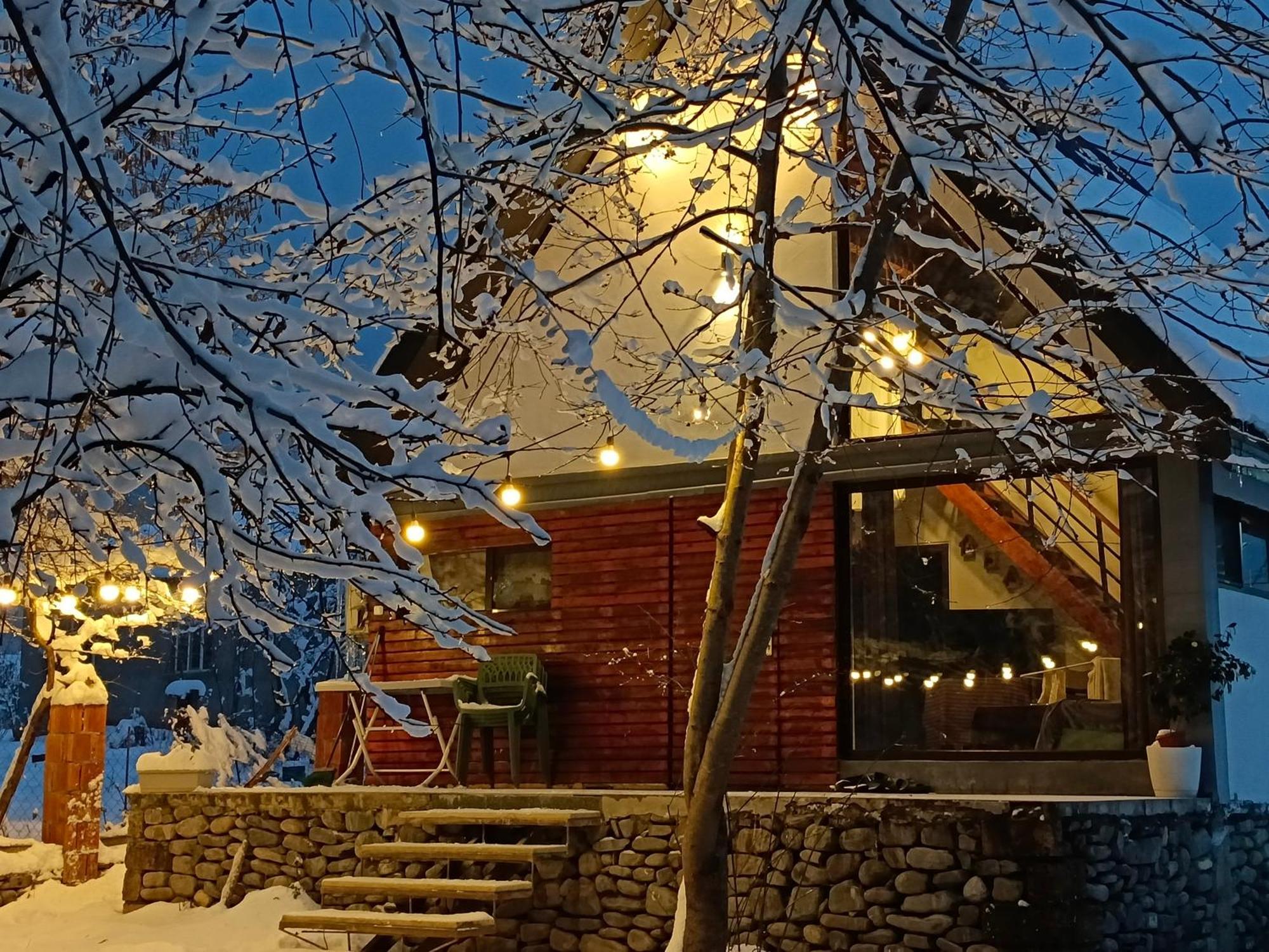 Woodland Paradise 가발라 외부 사진